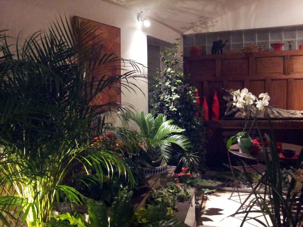 Chambres D'Hotes Le Petit Siam : Le Calme En Centre Ville แคลร์มงต์-แฟร์รองด์ ภายนอก รูปภาพ